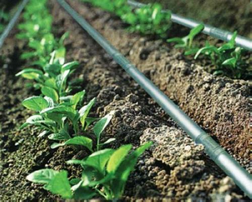 agricultural irrigation pipe